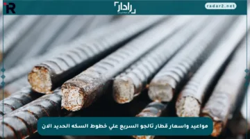 مواعيد وأسعار قطار تالجو السريع على خطوط السكة الحديد الآن
